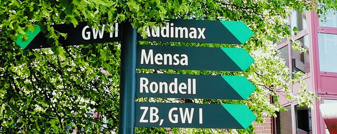 First Semester in MAIAS